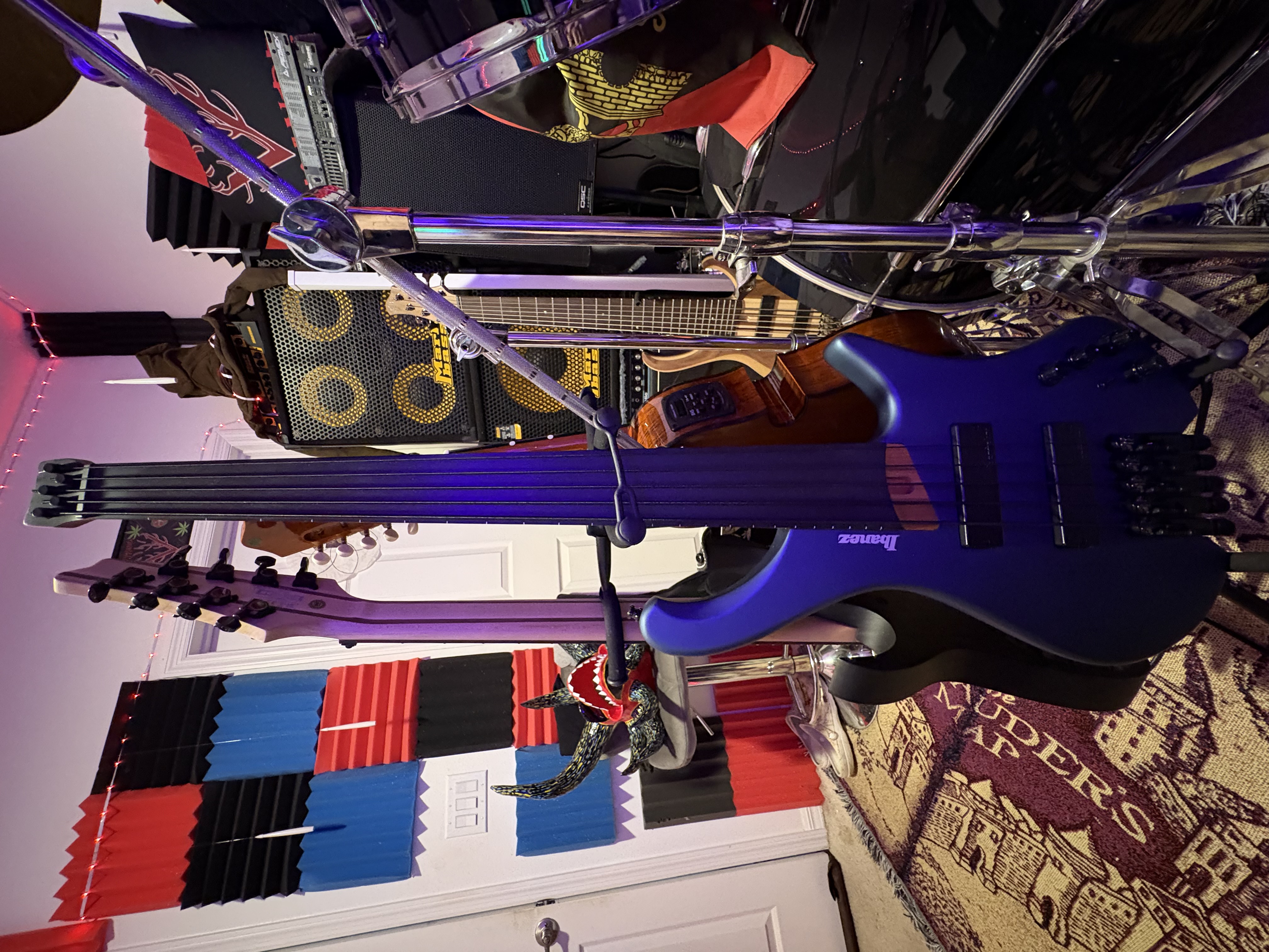 5 strings electric fretless bass