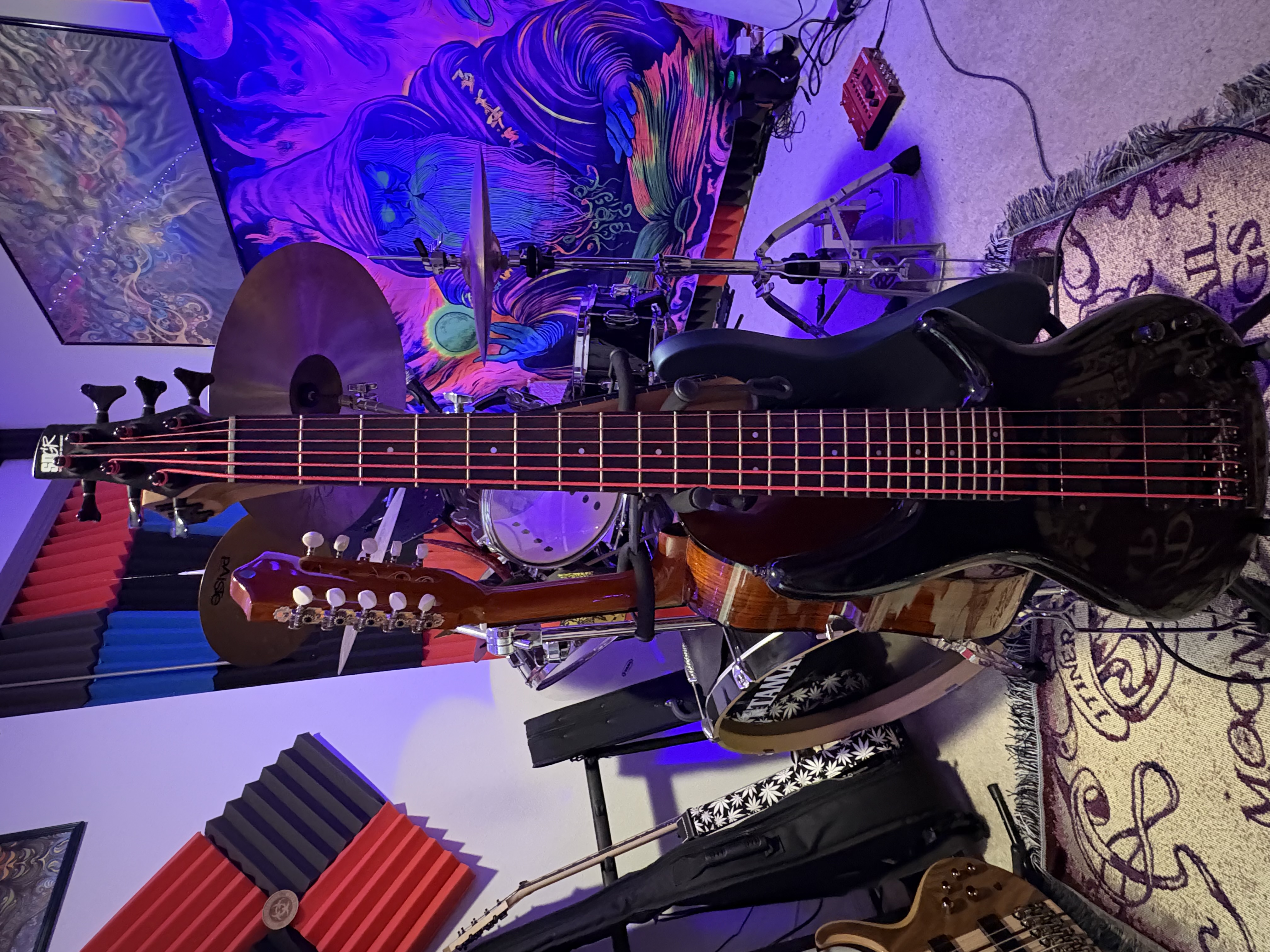 6 strings electric bass