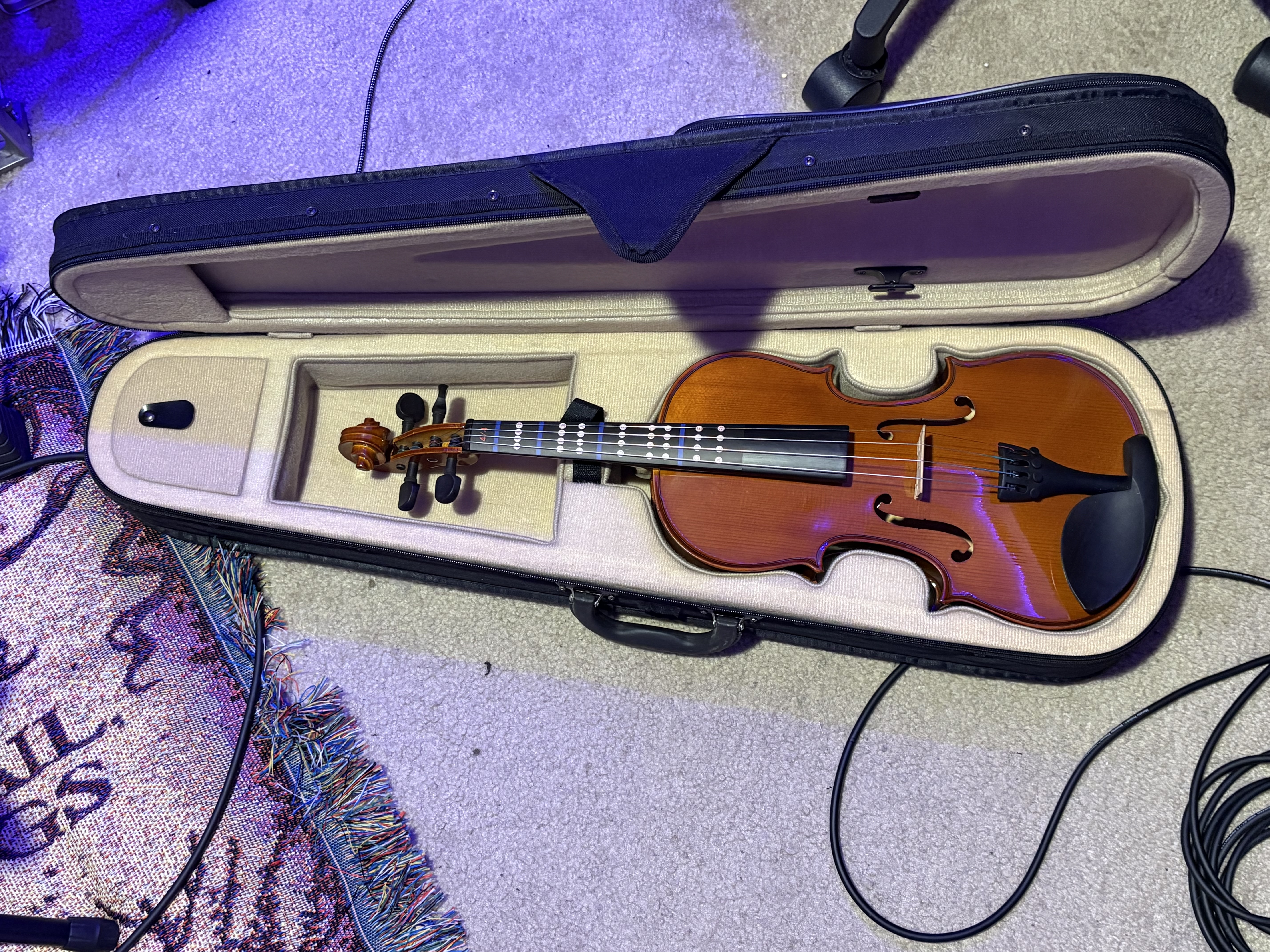 Violin